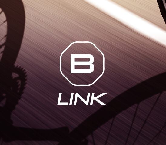 B Link
