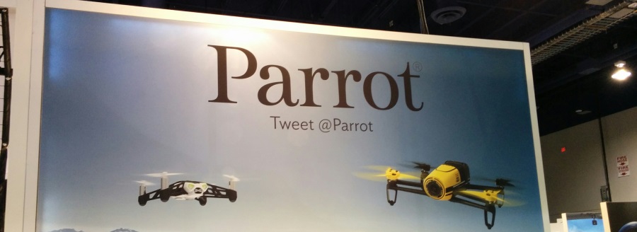 Parrot